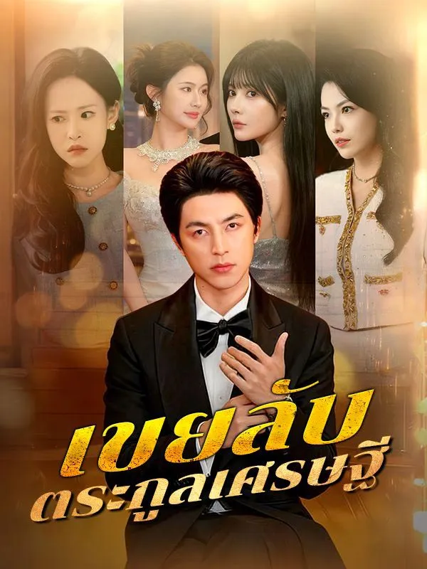 เขยลับตระกูลเศรษฐี ซับไทย