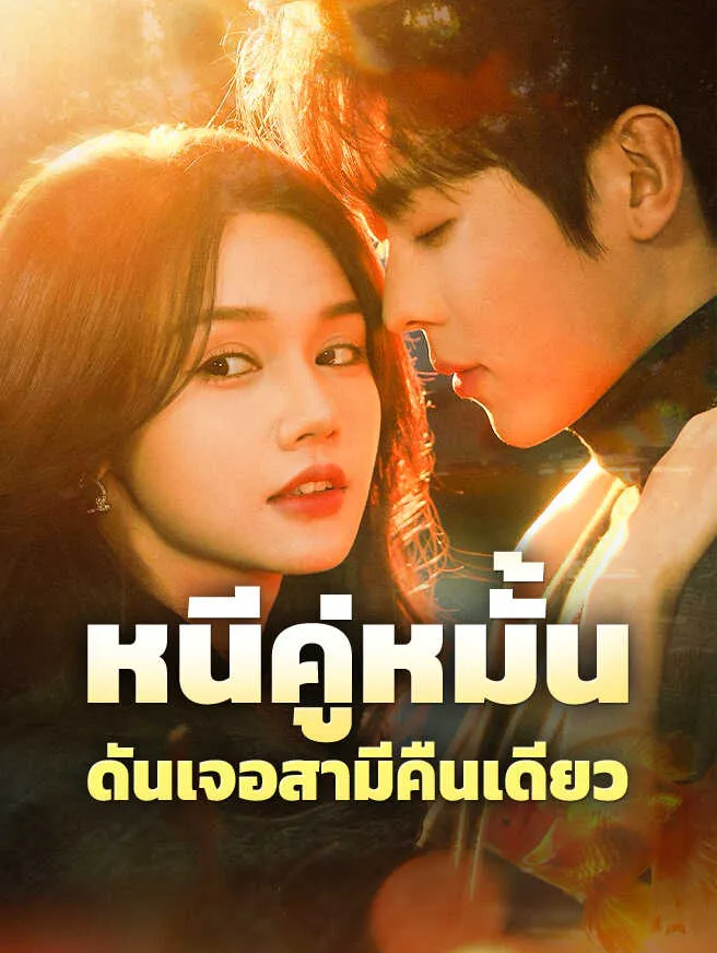 หนีคู่หมั้นดันเจอสามีคืนเดียว ซับไทย