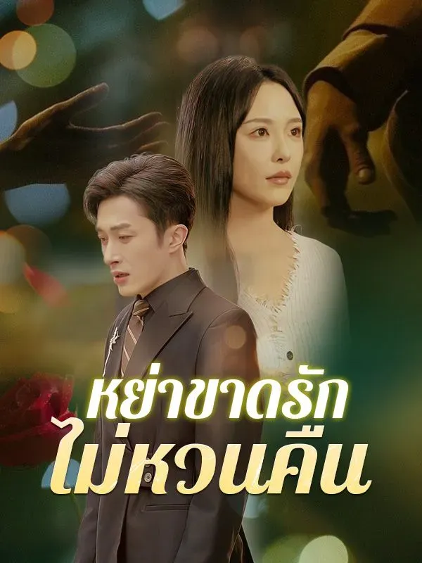 หย่าขาดรักไม่หวนคืน ซับไทย