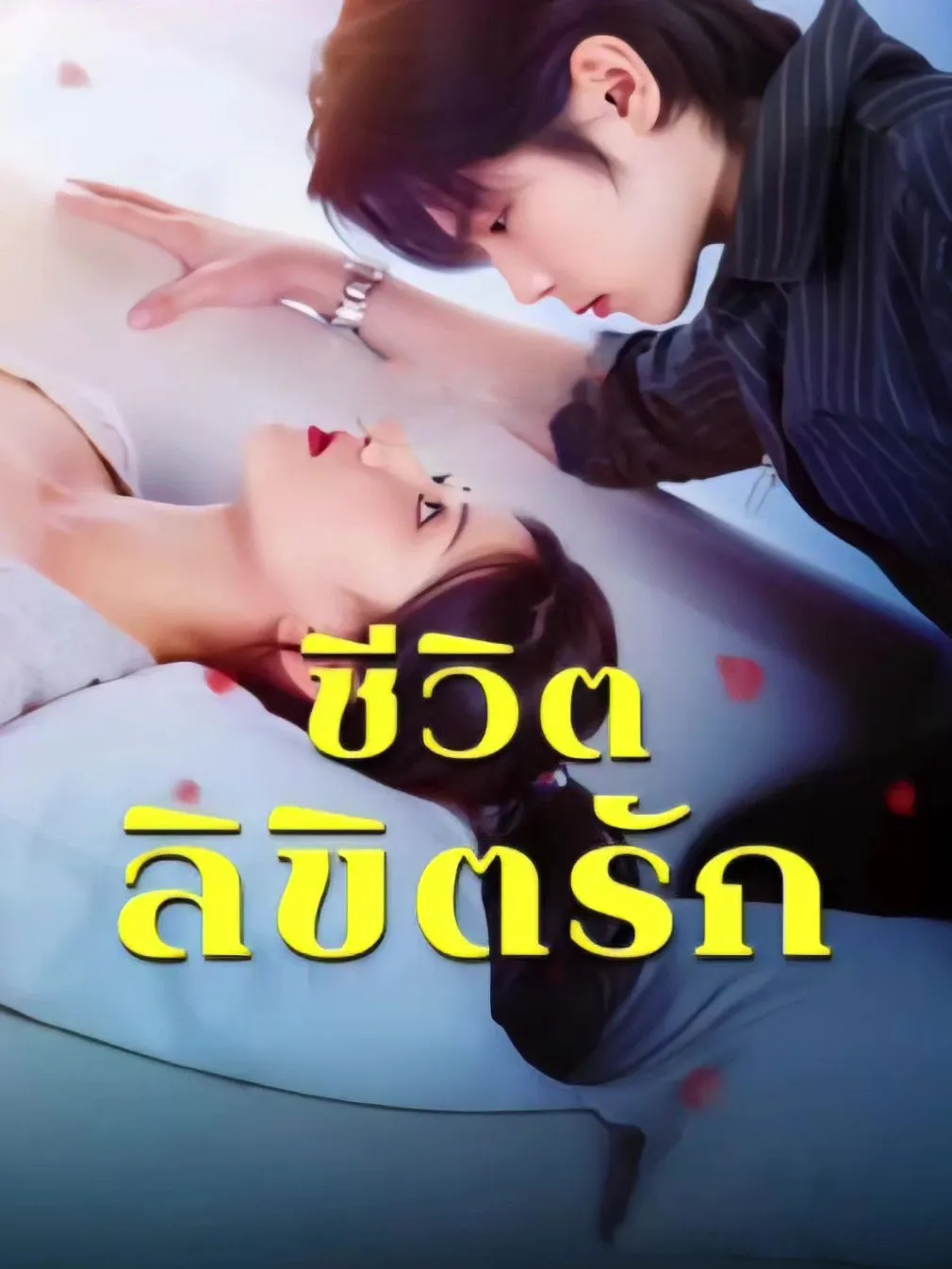 ชีวิตลิขิตรัก พากย์ไทย