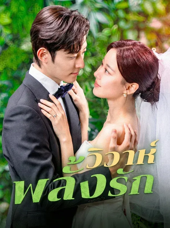 วิวาห์พลั้งรัก ซับไทย